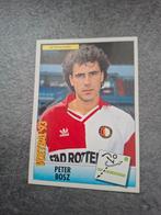 Panini sticker Voetbal 93. Speler Peter Bosz Feyenoord., Verzenden, Zo goed als nieuw, Sticker