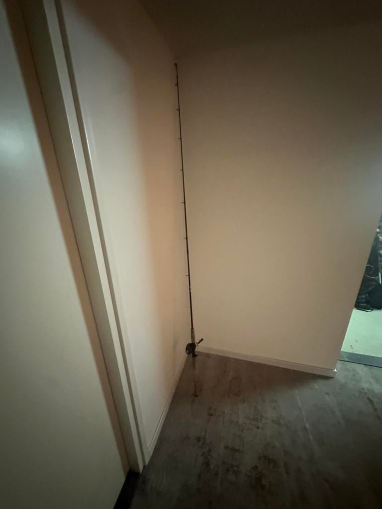 Rozemeijer qualifier baitcaster, Watersport en Boten, Hengelsport | Roofvissen, Ophalen, Zo goed als nieuw, Werphengel