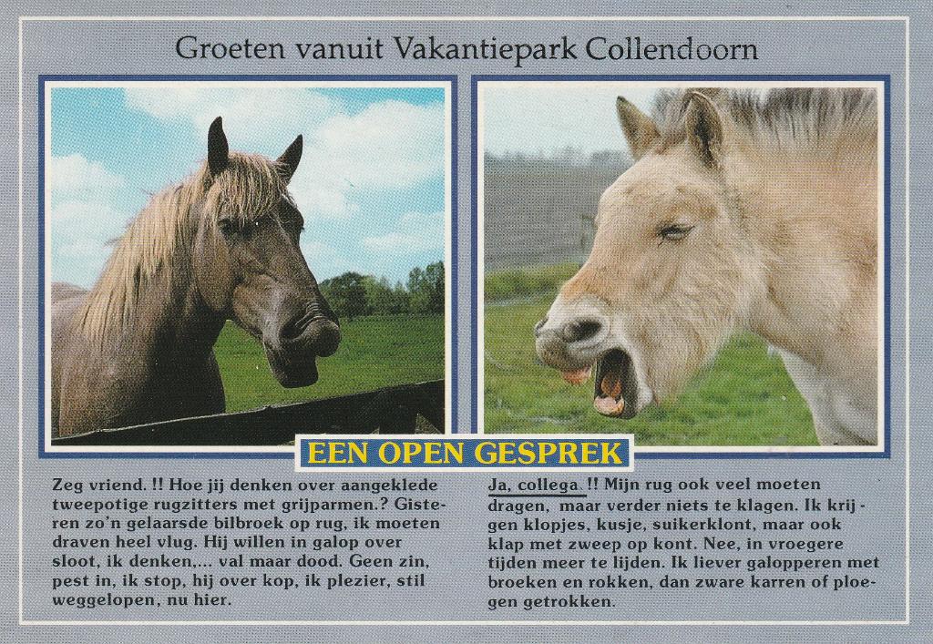 Groeten vanuit Vakantiepark Collendoorn Hardenberg, Ophalen of Verzenden, 1980 tot heden, Gelopen, Overijssel