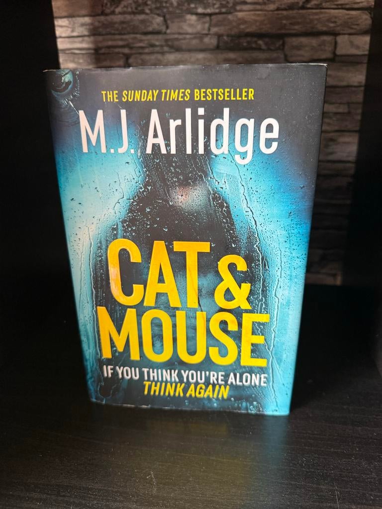 Cat & Mouse - M.J. Arlidge thriller boek, Boeken, Thrillers, Ophalen of Verzenden, Gelezen, Europa overig