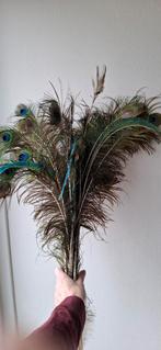 Bos pauwenveren, Ophalen