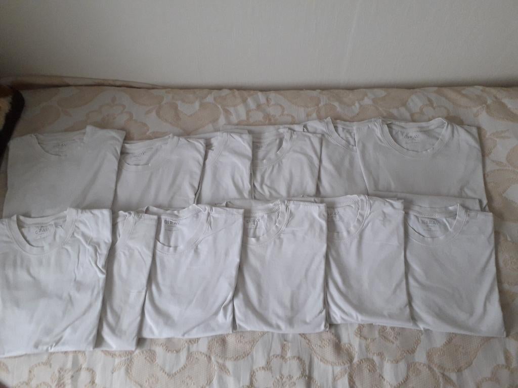 12 stuks girav sydney t shirts xl nieuwe en gedragen, Kleding | Heren, T-shirts, Ophalen of Verzenden, Nieuw, Maat 56/58 (XL)