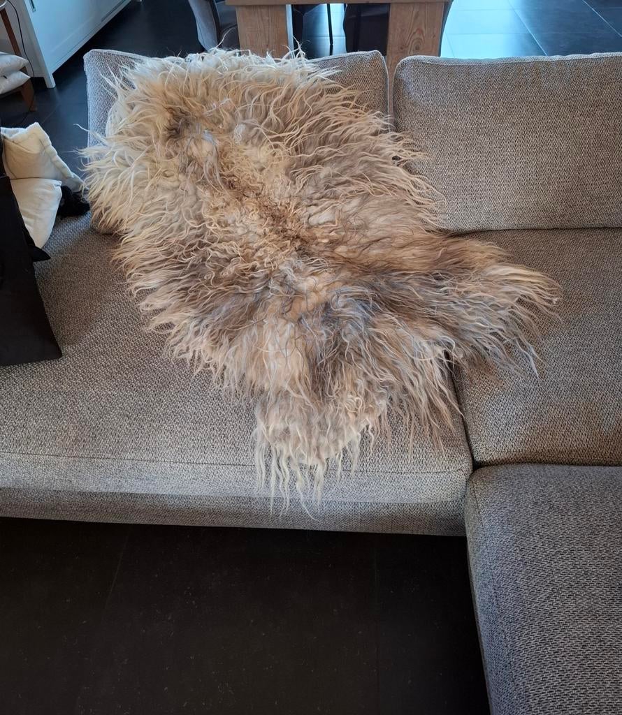 Vilten Heideschaapvacht, diervriendelijk, Nieuw, Rechthoekig, Overige kleuren, 100 tot 150 cm