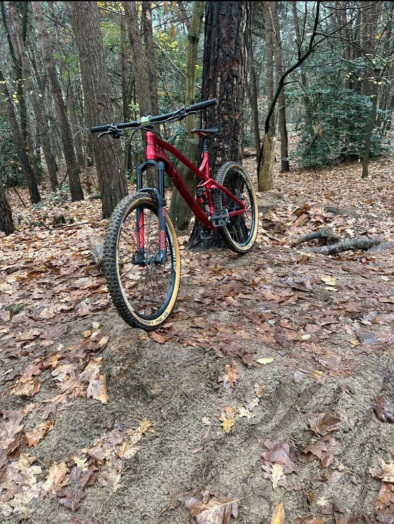 Mtb canyon spectral AL 9.0, Ophalen, Zo goed als nieuw, 80 kg of meer, Vering