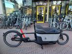 Carqon Cruise Enviolo bakfiets 500Wh NIEUW 24 mnd Garantie, Niet ingevuld, Nieuw, Niet ingevuld, Niet ingevuld