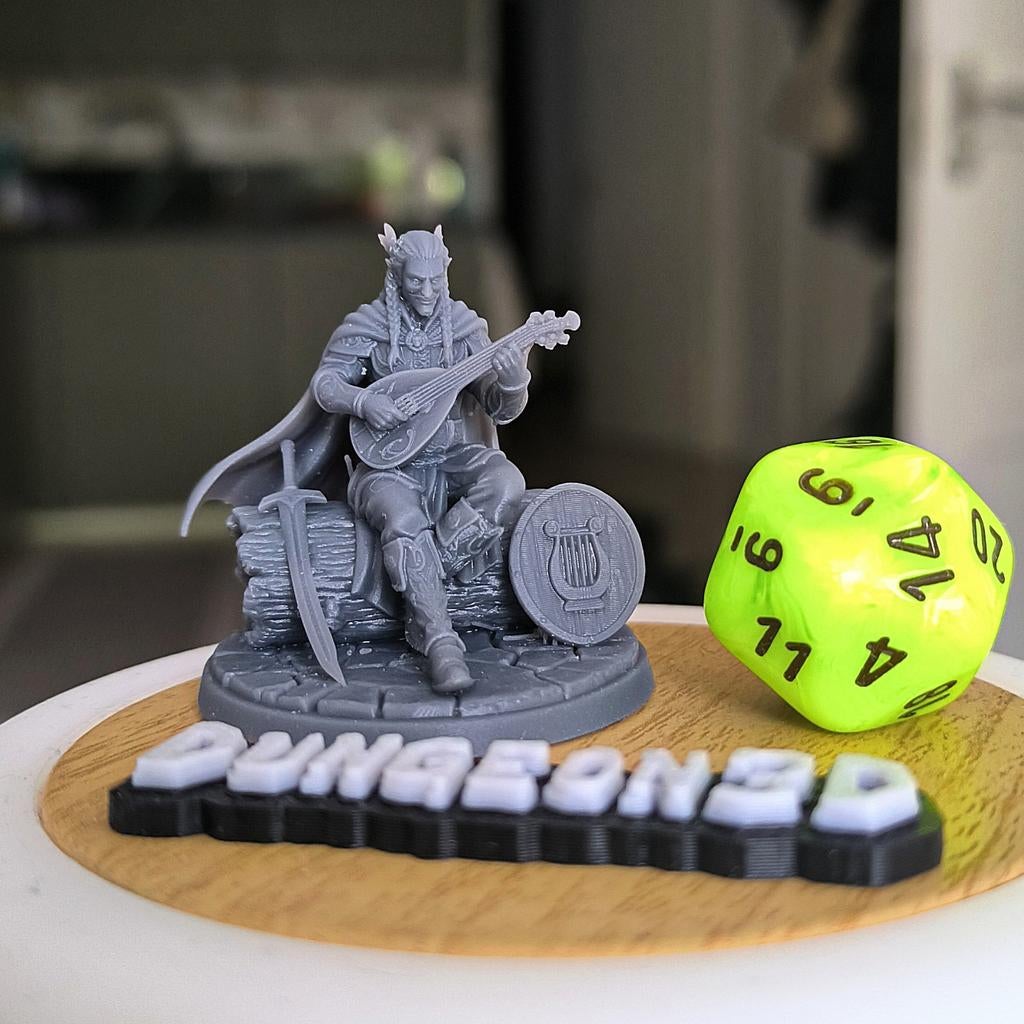 Dungeons & Dragons, D&D, HQ Elf Bard, Ophalen of Verzenden
