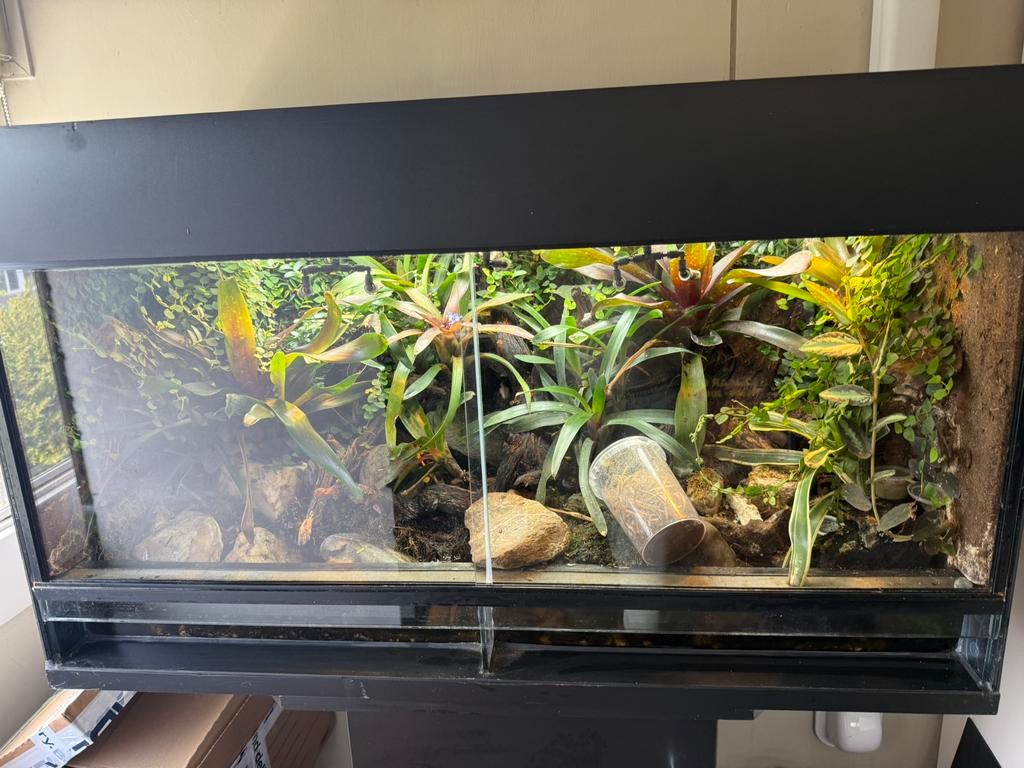 Complete Rana paludarium (plug@play), Ophalen, Zo goed als nieuw
