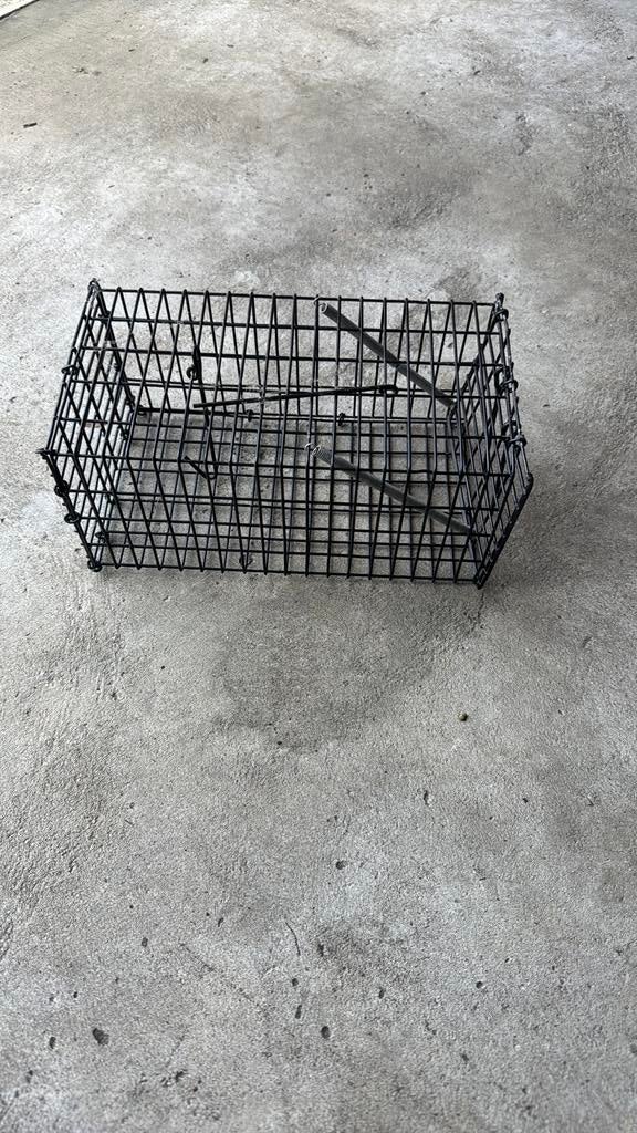 Rattenval, Tuin en Terras, Bestrijdingsmiddelen, Ophalen of Verzenden