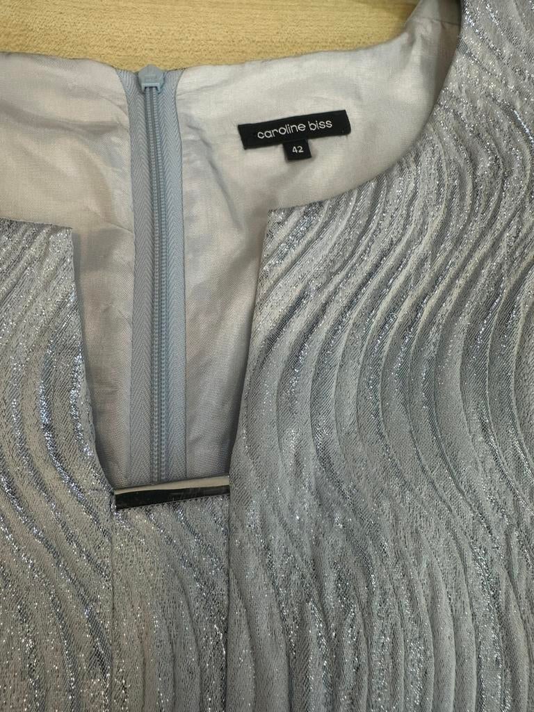 CAROLINE BISS JURK 42, Ophalen of Verzenden, Zo goed als nieuw