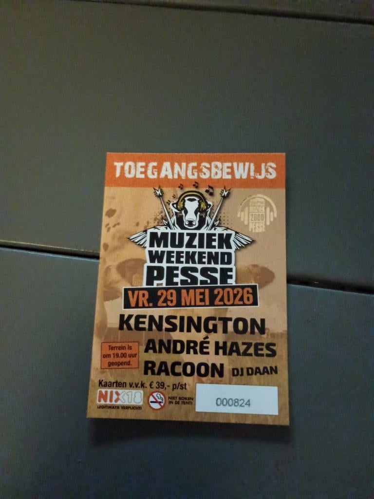 Muziek weekend Pesse., Twee personen