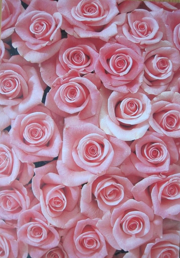 Flowerpower - foto van Paul Huf op ansichtkaart, Verzenden, 1980 tot heden, Gelopen, Overige thema's