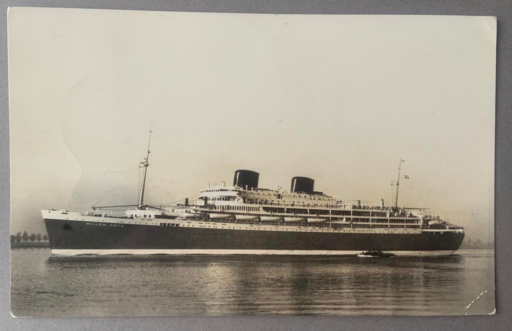 m. s.,, Willem Ruys”, Ophalen of Verzenden, Gebruikt, Kaart, Foto of Prent