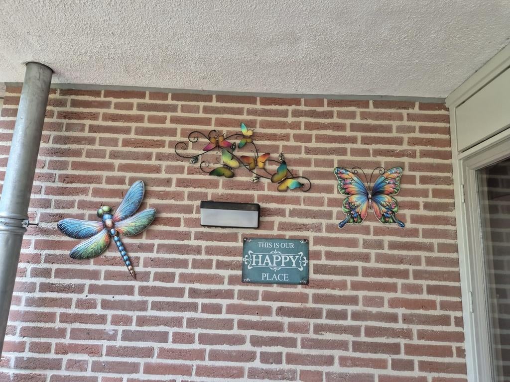 Decoratieve wanddecoratie: vlinders, libel etc, Ophalen, Gebruikt