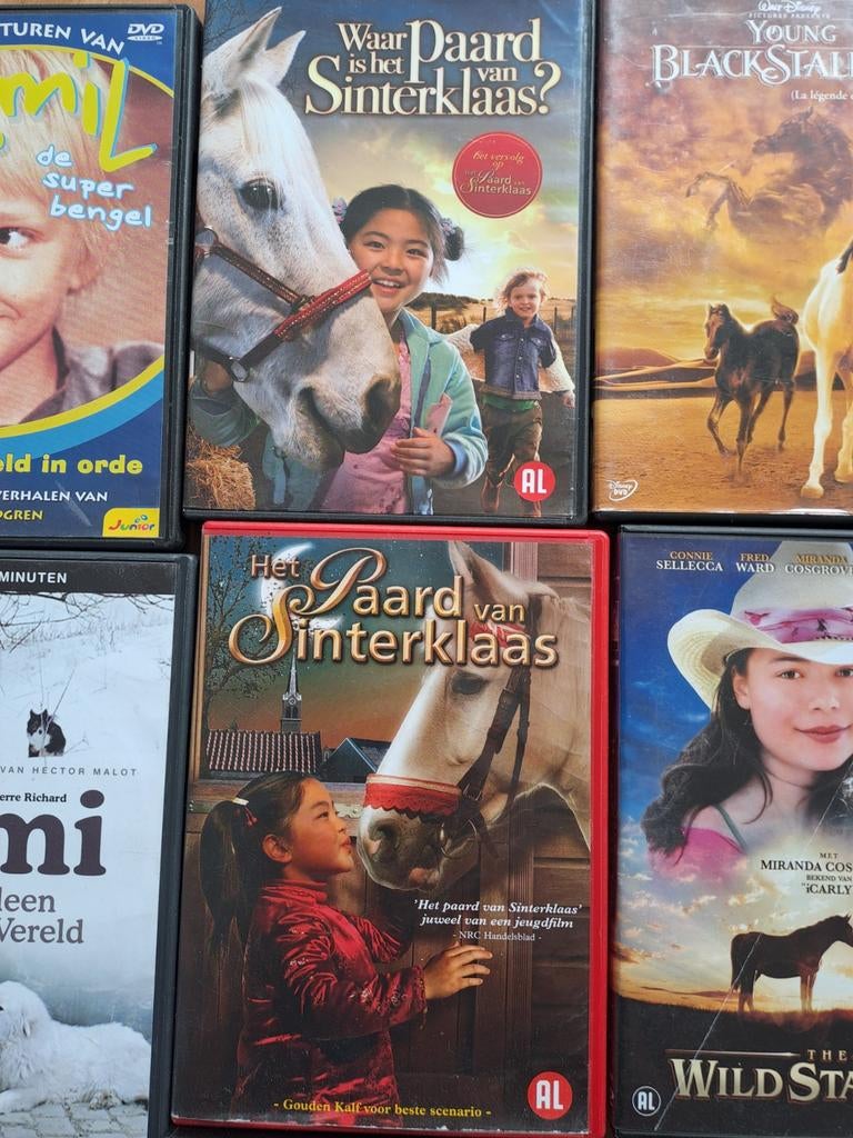 Paard van Sinterklaas 1 en 2, Alle leeftijden, Ophalen of Verzenden, Zo goed als nieuw