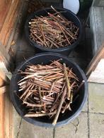 Snoeiafval, hout, vuurkorf, 2 grote kuipen vol, Ophalen, Overige soorten, Minder dan 100 cm