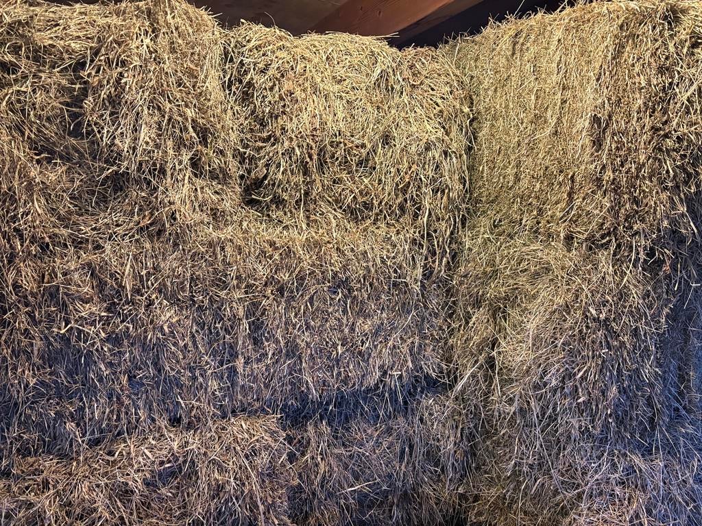 Hooibalen, biologisch, Dieren en Toebehoren, Ophalen, Vee