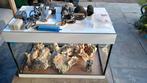 60 liter aquarium voor zoet of zoutwater inrichting, Dieren en Toebehoren, Vissen | Aquaria en Toebehoren, Ophalen, Leeg aquarium