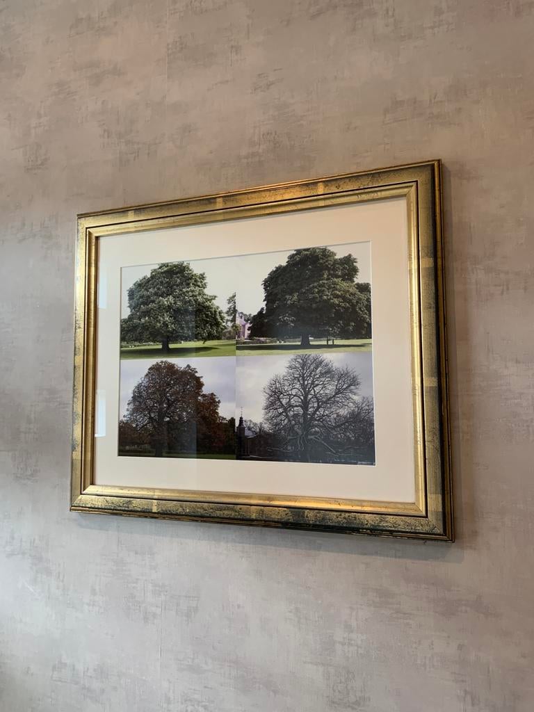 Schilderij met lijst goudkleurig, Ophalen of Verzenden