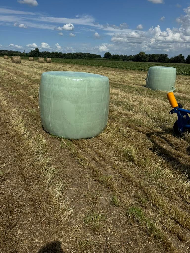 Ronde balen grof hooi 40 stuks, Dieren en Toebehoren, Dierenvoeding, Ophalen, Vee