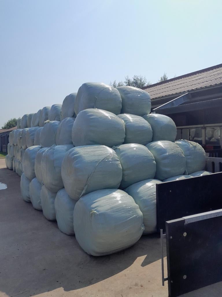 Midi balen hooi biologisch, Dieren en Toebehoren, Dierenvoeding, Ophalen of Verzenden, Vee