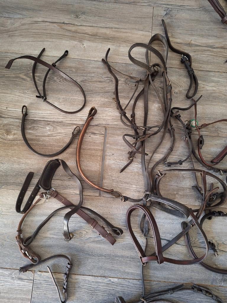Te koop diverse hoofdstellen en onderdelen, Ophalen of Verzenden, Overige soorten
