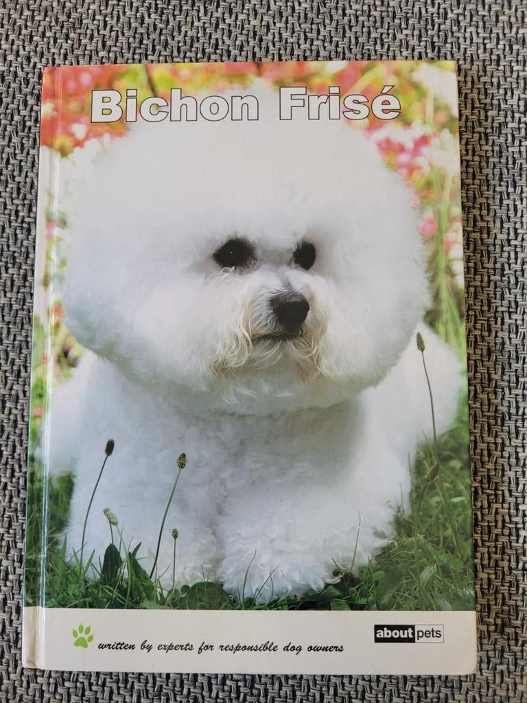 Bichon Frisee, Ophalen of Verzenden, Zo goed als nieuw, Honden