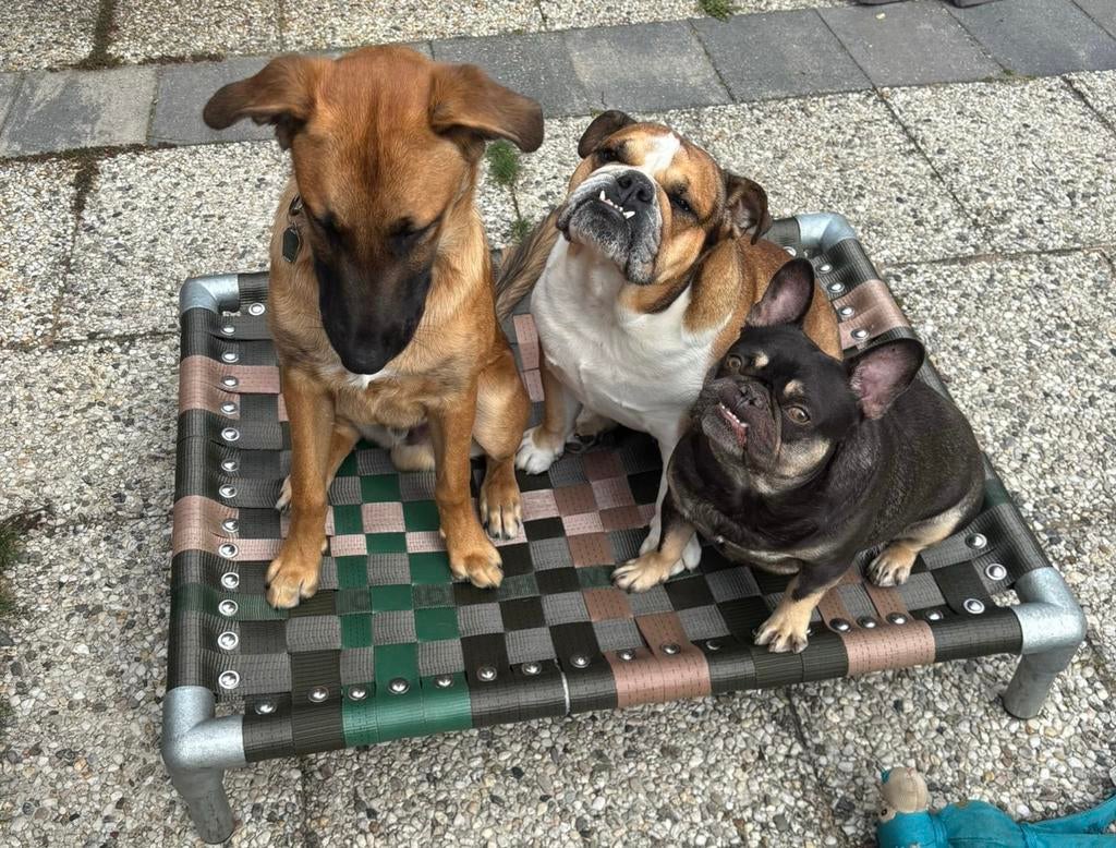 Hondenmand ✅ hondenstretcher Hondenbed hondenkussen bech dog, Ophalen of Verzenden, Nieuw, Overige