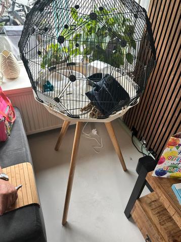 GEO VOGELKOOI VOOR PARKIETEN, VINKEN EN KANARIES beschikbaar voor biedingen