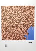 Keith Haring - Brazil, Antiek en Kunst, Kunst | Litho's en Zeefdrukken, Ophalen of Verzenden