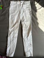 Paardrijbroek wit maat 158, Ophalen of Verzenden, Gebruikt, Kinderen, Onderkleding