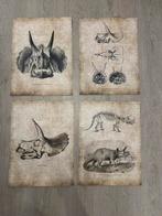 Dino Fossil posters (zonder lijst) A3, Ophalen of Verzenden