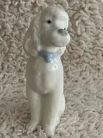 Hond poedel porcelanas Miquel Requena, Ophalen of Verzenden