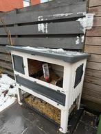 Konijntjes incl hok, Dieren en Toebehoren, Knaagdieren en Konijnen | Hokken en Kooien, Ophalen of Verzenden, Zo goed als nieuw