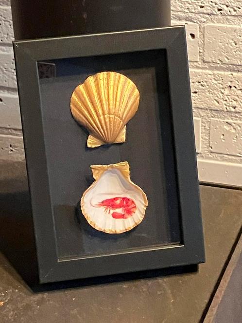 Mooie schelpen in lijst, Huis en Inrichting, Woonaccessoires | Lijsten, Nieuw, Minder dan 50 cm, Hout, Ophalen of Verzenden