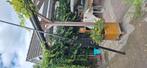 Mast van surfplank, Watersport en Boten, Ophalen, Gebruikt