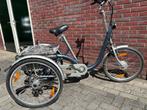 Van Raam Maxi 2 Driewieler met Elektrische Ondersteuning, Ophalen, Gebruikt