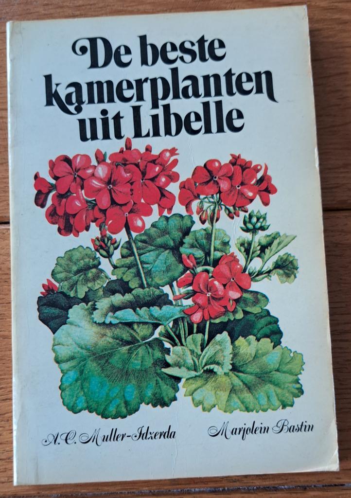 De beste Kamerplanten uit Libelle, Huis en Inrichting, Kamerplanten, Minder dan 100 cm, Halfschaduw, Ophalen of Verzenden