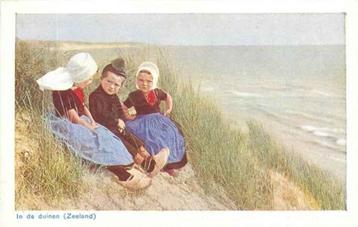(301-357-013) Zeeland in de duinen beschikbaar voor biedingen