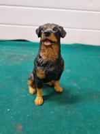 beeld rotweiler zittend, Ophalen of Verzenden