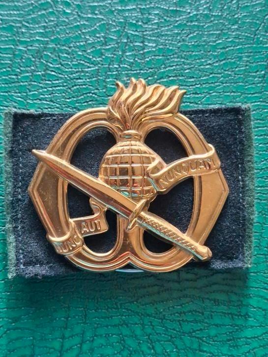 Baret embleem/ Korps Commando Troepen/ KCT, Verzamelen, Militaria | Algemeen, Landmacht, Embleem of Badge, Nederland, Ophalen of Verzenden