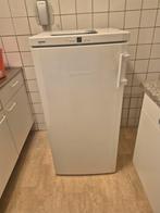 Liebherr Koelkast -, Ophalen, 120 tot 140 cm, 60 cm of meer, Energieklasse A of zuiniger
