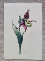 Hollandse School (XX) MK - Orchidee, Antiek en Kunst, Kunst | Schilderijen | Klassiek, Ophalen of Verzenden