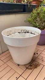 Grote witte Elho bloempot met waterreservoir, Ophalen, Kunststof, Gebruikt, Minder dan 60 cm