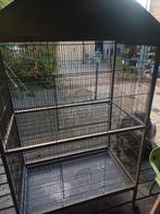 Mooie grote kamer voliere veel openingspunten groot en klein, Ophalen, Zo goed als nieuw, Metaal, Vogelkooi