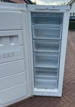 Vrieskast Bosch 6 laden A+, Gebruikt, Minder dan 60 cm, 160 cm of meer, Energieklasse A of zuiniger