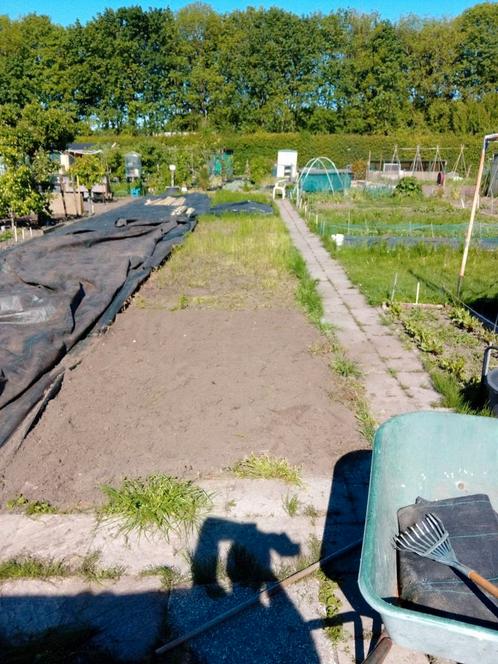 Tuinman/hovenier/tuinhulp aangeboden, Vacatures, Profielen | Man/Vrouw zoekt werk