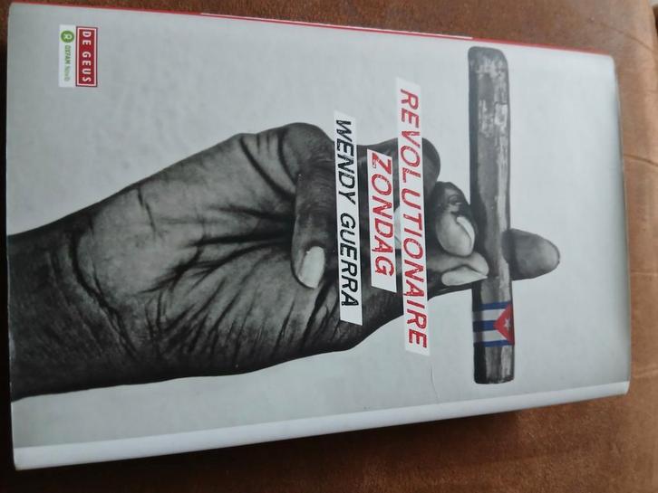Revolutionaire Zondag - Wendy Guerra, Boeken, Biografieën, Zo goed als nieuw, Kunst en Cultuur, Ophalen of Verzenden