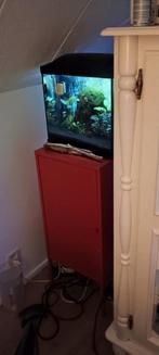 aquarium met alles erop en eraan. Ik kan het vervoeren., Ophalen of Verzenden, Zo goed als nieuw