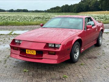 1982 Chevrolet Camaro Z28 5.0 V8 BELASTINGVRIJ beschikbaar voor biedingen