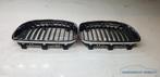 BMW E90 3 serie facelift grille grill motorkapgrille links r, Petuelring 130
80788  Munich, DE, Gebruikt, Info@bmw.de, Ophalen of Verzenden